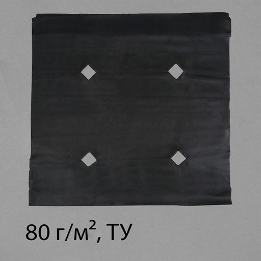 Материал мульчирующий, с перфорацией, 10×1.6 м, плотность 80 г/м², спанбонд с УФ-стабилизатором, чёрный, Greengo, Эконом 30%
