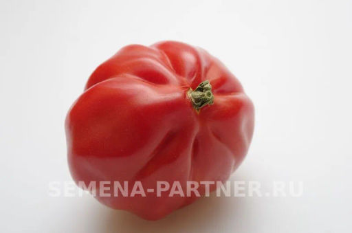 Томат Кахури - Партнер фото 3