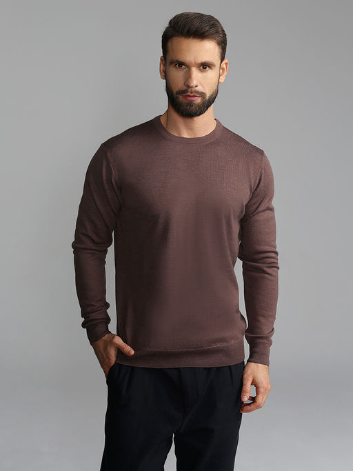 Джемпер мужской GREG G121-EV (какао)  фото 9