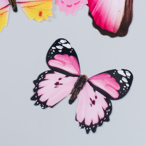 Цена за 2 шт. Наклейка пластик «Бабочки ассорти», набор 12 шт.: 12 см; 10 см; 8 см; 6 см; 4 см, МИКС