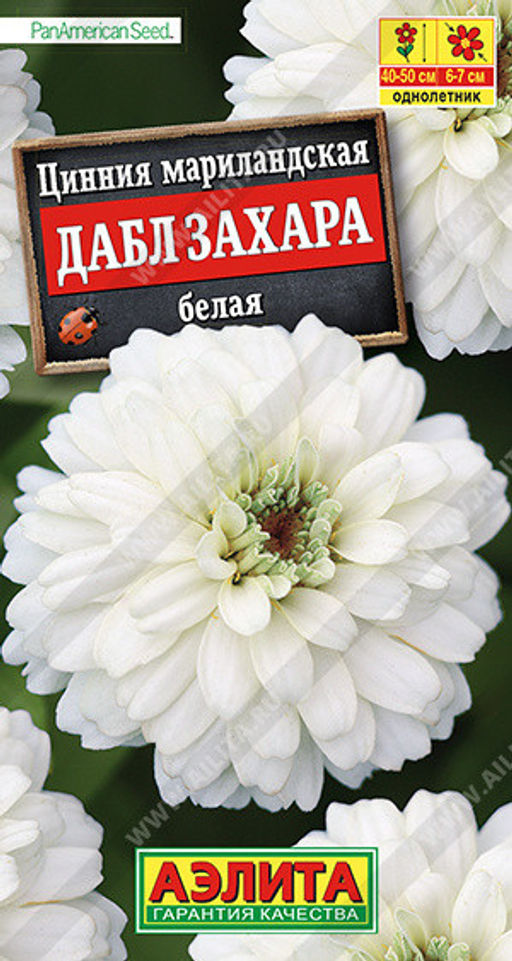 1884A Цинния Дабл Захара белая 5шт