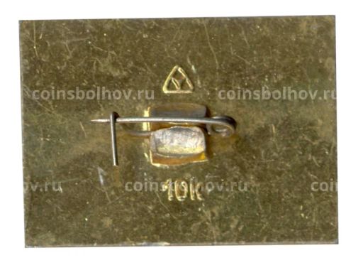 Значок Владимир