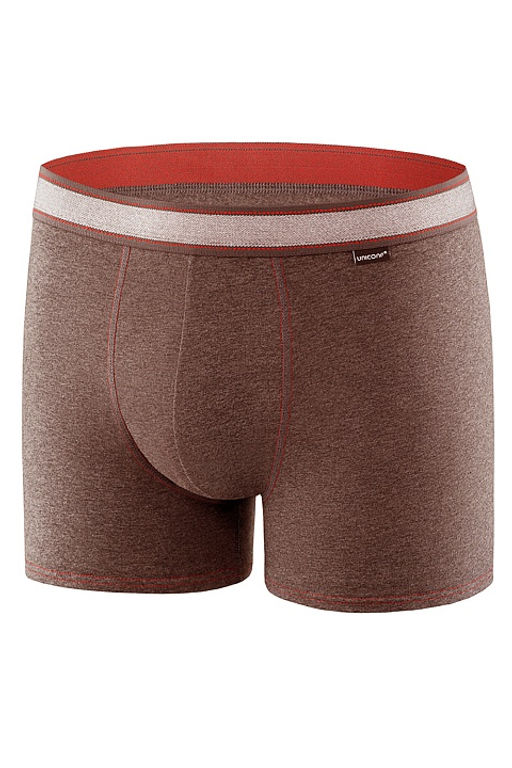 Мужские трусы BB99 Коричневый