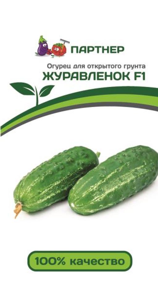 Огурец пчелоопыляемый Журавленок