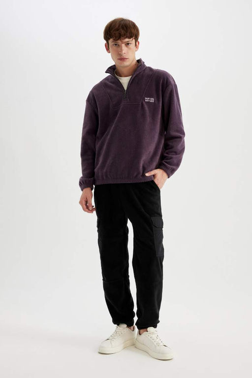 Флисовый свитшот с принтом и воротником-стойкой Comfort Regular Fit - Defacto фото 2