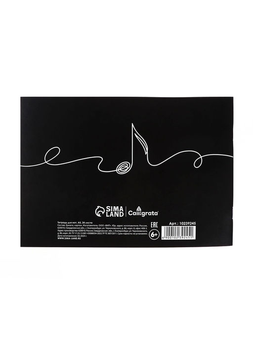 Цена за 5 шт. Тетрадь для нот А5, 24 листа «Одной линией»