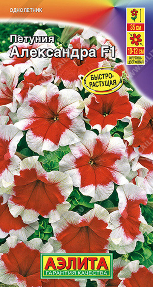 1669A Петуния Александра F1 крупноцветковая 7шт