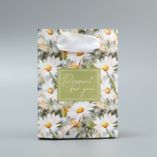 Цена за 4 шт. Пакет подарочный ламинированный, упаковка, Present, 9×12×6.5 см