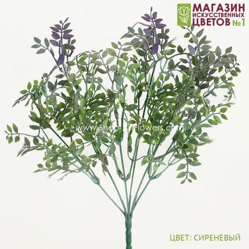 103 Листья фисташки, куст - Без тм фото 2