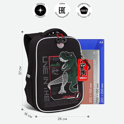 RAw-497-10 Рюкзак школьный - Grizzly фото 15