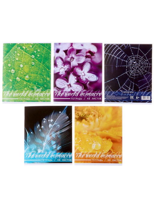 Цена за 10 шт. Тетрадь 48 листов в клетку, Calligrata Микромир, МИКС  фото 3