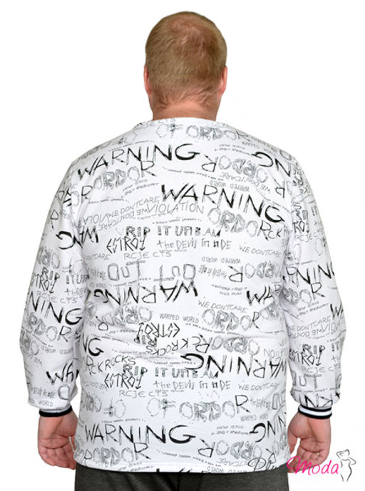 Толстовка Модель №1923 размеры 44-84