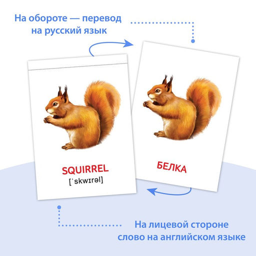 Книги набор Карточки Домана на английском языке, 8 шт. по 24 стр. - Буква-ленд фото 3