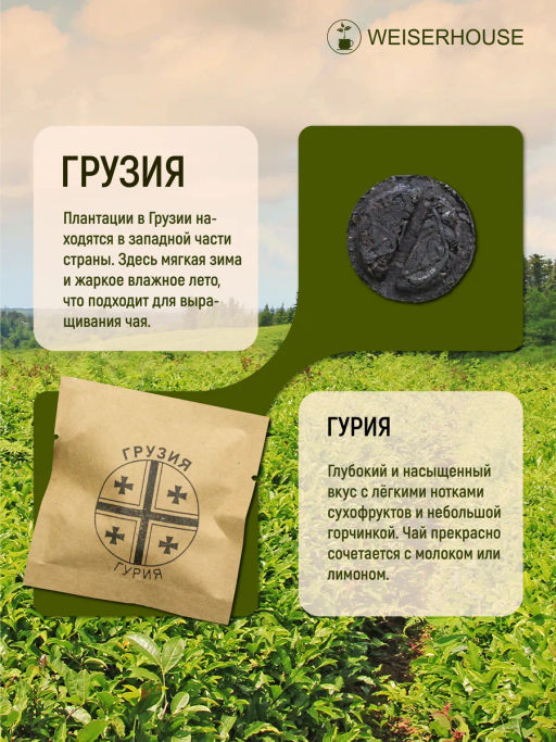 Подарочный Набор Крафтовый чай Ассорти 10-12гр, 1 уп. Х 8 шт. - Weiserhouse фото 9