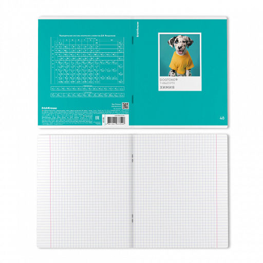 Цена за 5 шт. Тетрадь общая ученическая ErichKrause DogTone, Химия, 48 листов, клетка, выборочный УФ-лак  фото 2