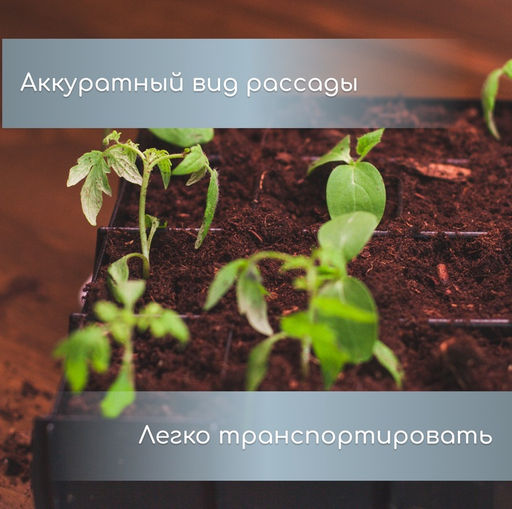 Набор для рассады: пластиковая вставки на 16 ячеек, по 130 мл, пластиковый чёрный поддон, 26.5×26.5×3 см