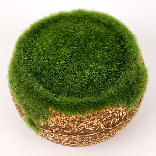 Основа для декора «Горшок круглый для цветов», 7×8×8 см