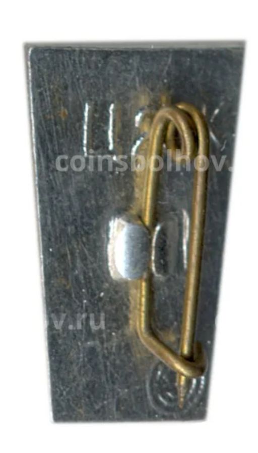 Значок Брестская крепость