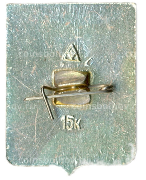 Значок Владимир