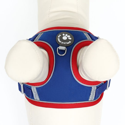 Комплект Sport+, L, поводок 120 x 1,5 см, ОШ 49-56 см, ОГ 56-68 см, вес животного 20-28 кг, синий 9 - Пижон фото 8