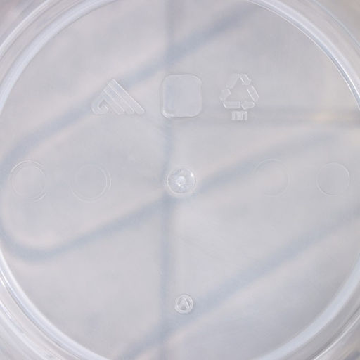 Ведро с крышкой «Хозяюшка», 5 л, d=22 см, h=22 см, пластик, МИКС