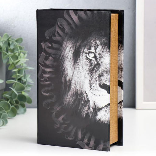 Шкатулка книга-сейф «Лев. Through the eves of a lion», дерево и искусственная кожа, с замком, 21×13×5 см