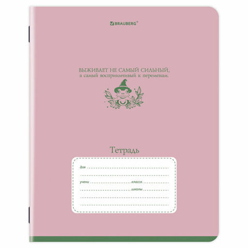 Тетрадь 24 л. BRAUBERG клетка, обложка картон Цена за 5шт.