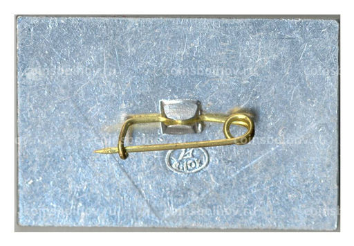 Значок Коломенское