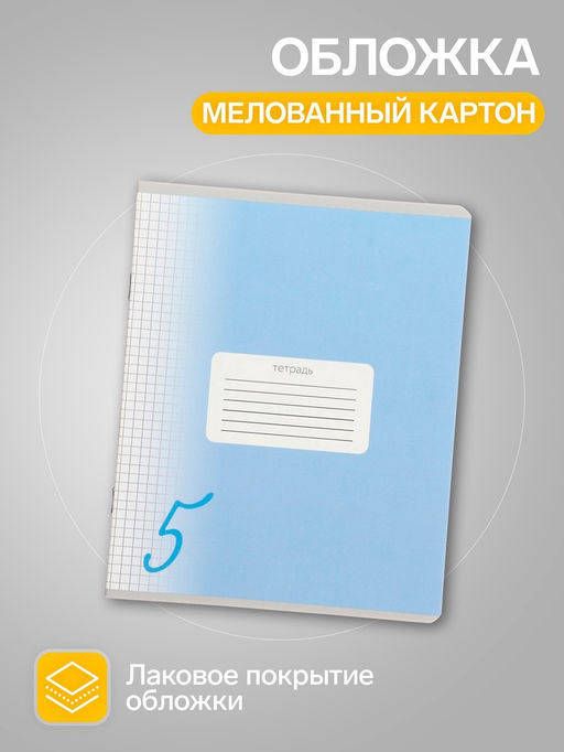 Комплект тетрадей из 10 штук, 24 листа в клетку Calligrata "Пятёрка", обложка мелованный картон, ВД-лак, блок офсет, 5 видов по 2 штуки