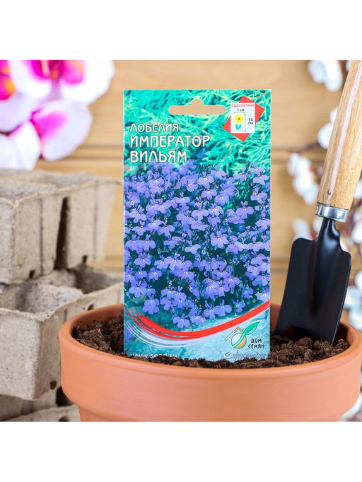 Набор семян Лобелия "Император Вильям", 5 шт.