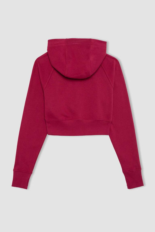 Укороченный толстый свитшот DeFactoFit с капюшоном и двойным карманом на молнии фото 10