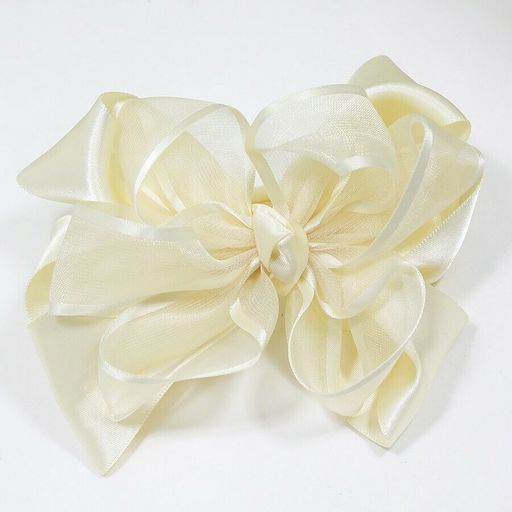 Зажим для волос Z653700075