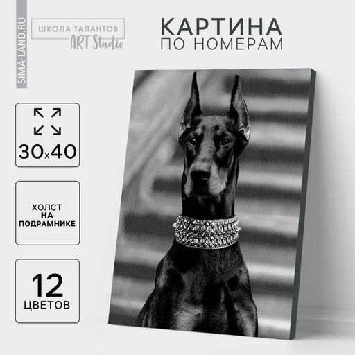 Картина по номерам на холсте с подрамником «Доберман», 30×40 см