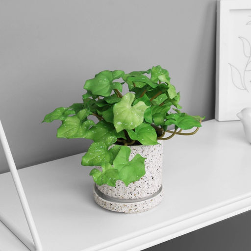 Искусственный цветок в горшке Филодендрон селло ультра (мягкий лист), 15?7 см, МИКС