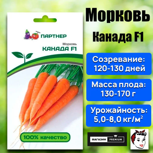 Морковь Канада - Партнер фото 2