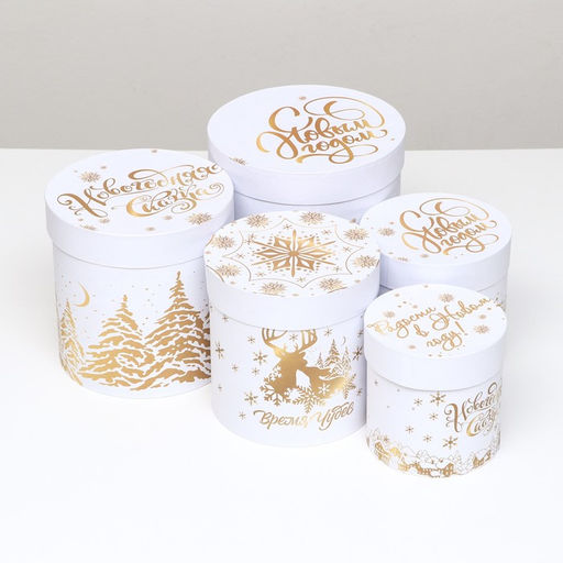 Набор подарочных шляпных коробок 5 в 1 «С Новым годом», 23×23- 15×15 см