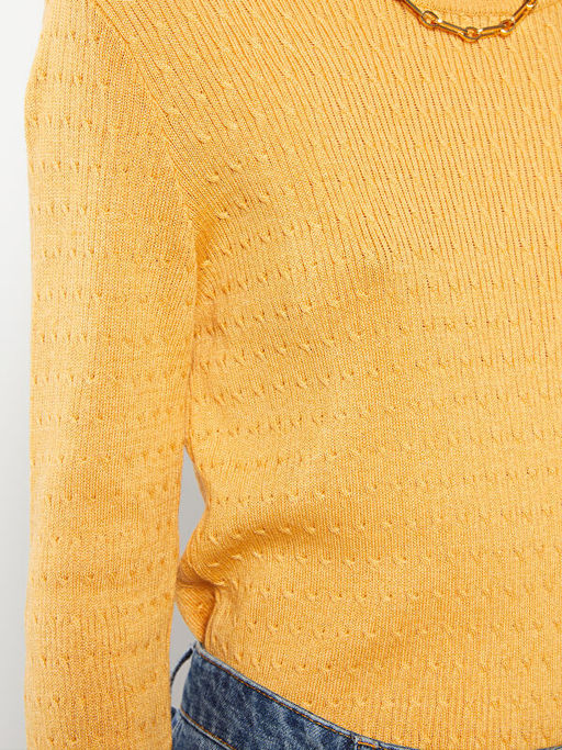 Bisiklet Yaka Kendinden Desenli Uzun Kollu Kad?n Triko Kazak