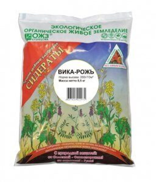Зеленое удобрение Вика - Рожь