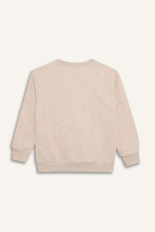 Толстовка обычного кроя с принтом для мальчиков с круглым вырезом - Defacto фото 9