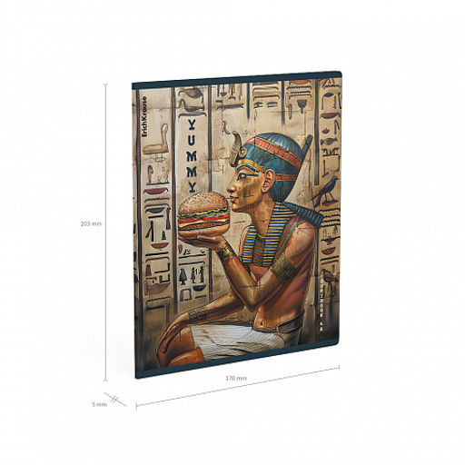 Цена за 5 шт. Тетрадь общая ученическая ErichKrause Newgypt, 48 листов, клетка, матовая ламинация+выборочный УФ-лак_MIX-PACK фото 10