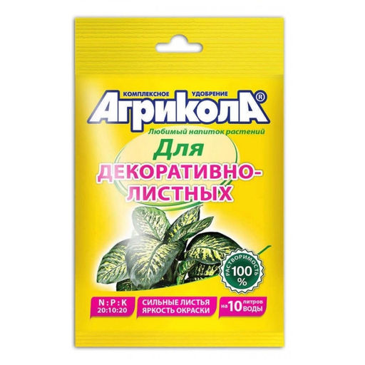 Компл.мин.удобр. "Агрикола 10" (декоративнолистн.раст.) 25г