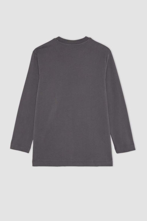 Футболка-туника с длинными рукавами из чесаного хлопка с круглым вырезом и вышивкой обычного кроя - Defacto фото 10