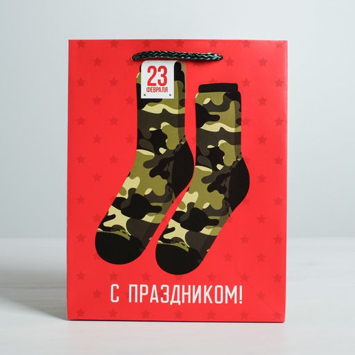 Цена за 2 шт. Пакет подарочный ламинированный, упаковка, «С 23 февраля», MS 18×23×10 см
