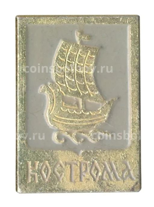 Значок Кострома