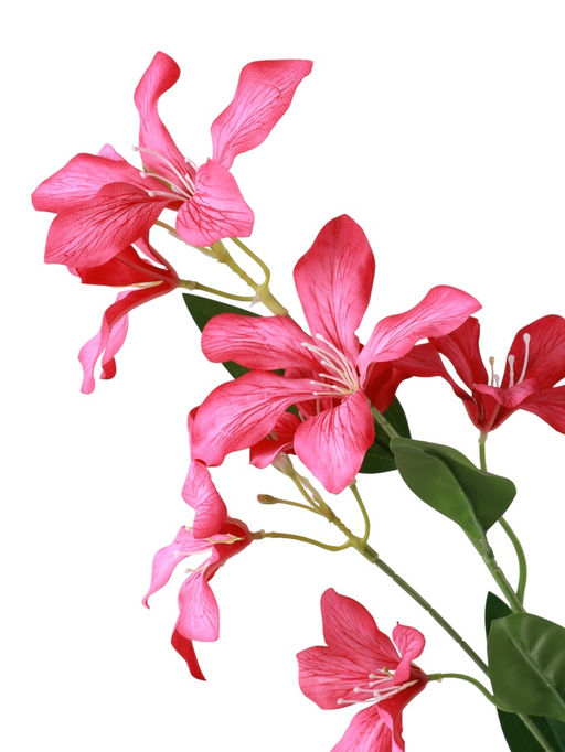 Цветы искусственные «Баухиния пёстрая», d=13 см, h=71 см, малиновые