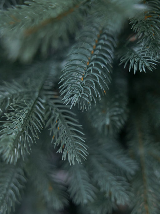 Ель комбинированная голубая 240 см (арт. H-4) - Ип лебедев о.ю фото 2