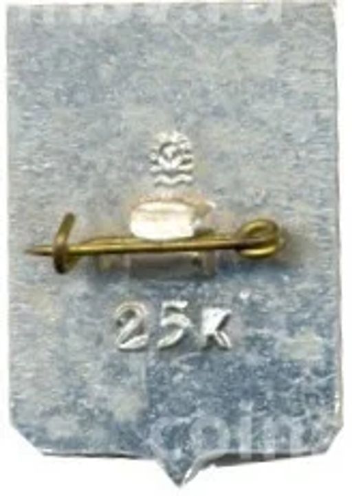 Значок Чебоксары