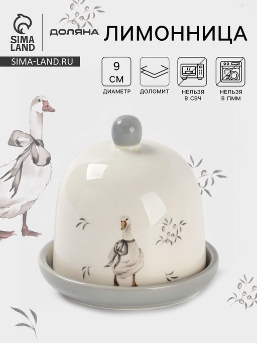 Лимонница Доляна «Гуси», доломит, 9×9 см, белая