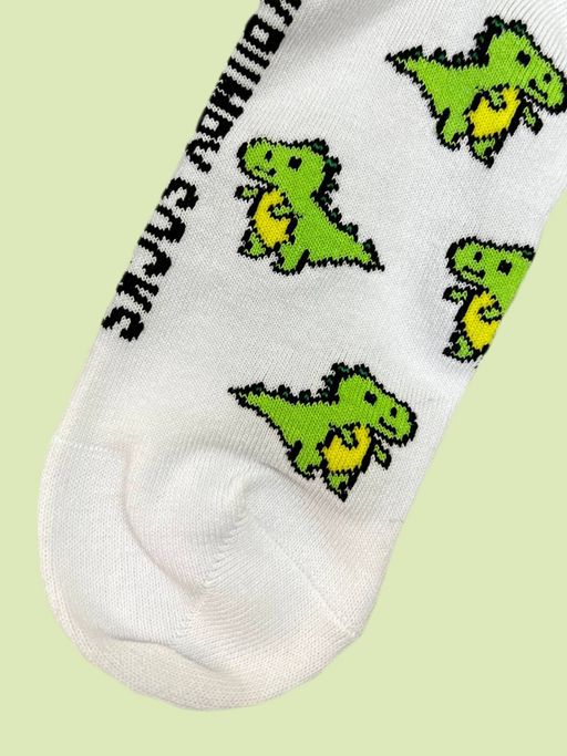 Носки р.35-40 TxT Дино - Krumpy фото 5