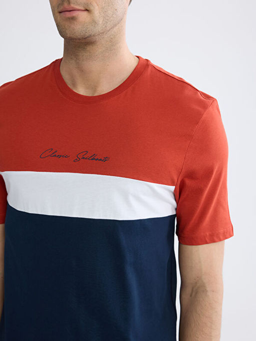 Bisiklet Yaka Renk Bloklu Penye Erkek Ti??rt